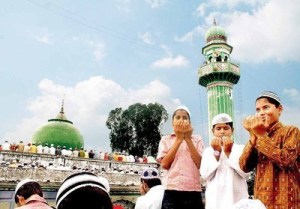 ddn18loc-10-c-3-1_1253337169_m ddn18loc-10-c-3-1_1253337169_m