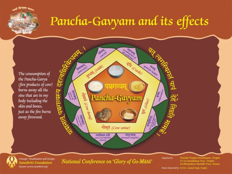 Go Raksha | Struggle for Hindu Existence