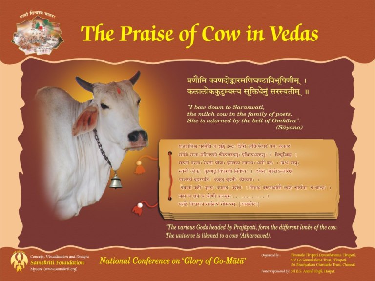 Go Raksha | Struggle for Hindu Existence