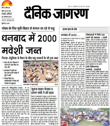 Largest Cattle Resucue in a day at one spot in India _Jharkhand