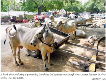 Save Cow Protest