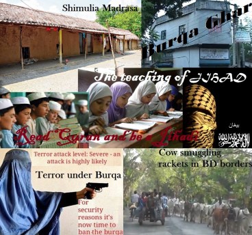 Madrasa-Burqa-Cow smuggling