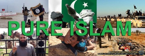 Pure Islam