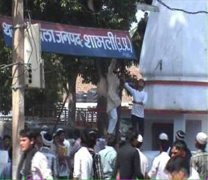 11188397_817999598284295_2835875205546305875_n