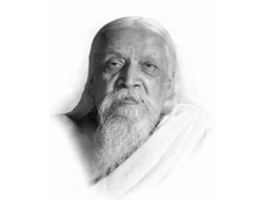 12119026_899119150173939_4348340350646205645_n