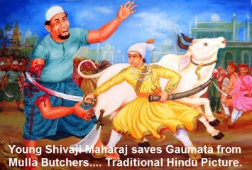 shivai-maharaj-saves-gaumata-from-mulla-buthchers