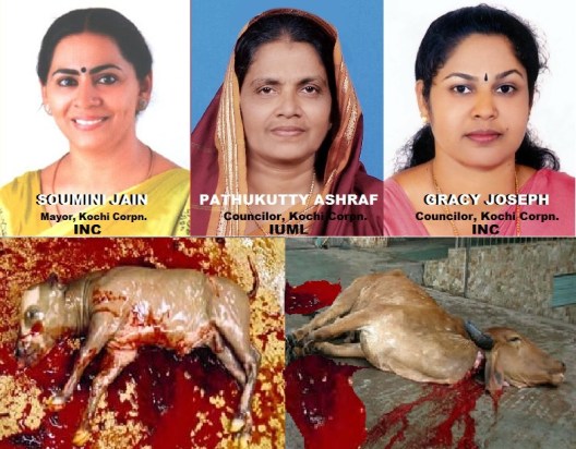 Three Kochi Women allows slaughtering Pregnant Cows