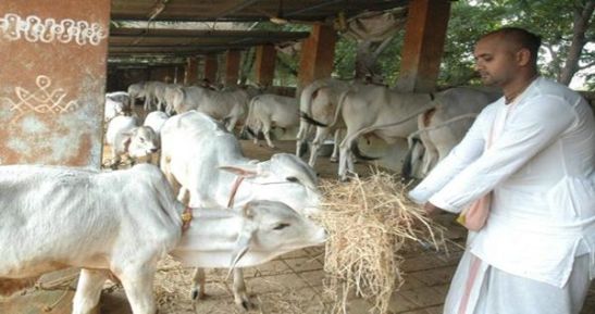 Government-Control-of-Hindu-Temples_4