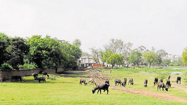 The proposed site for the new slaughter house in Bhopal on Monday.. (Hindustan Times/HT photo)