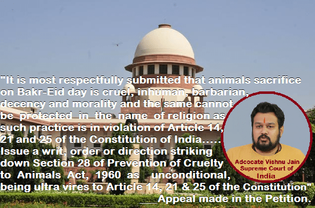 sri-vishnu-jain-advocate-sci