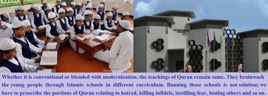 peace-international-school