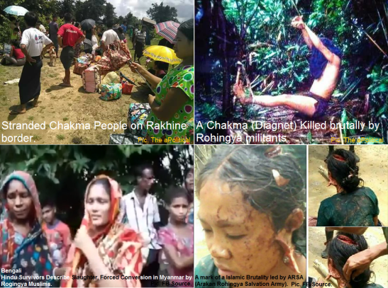 Rohingya Muslims attack on Hindus and Chakmas