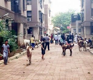 Representational Image.