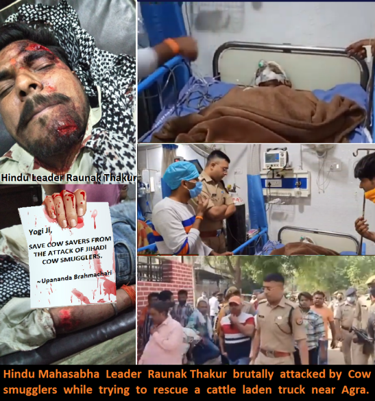 Stop Attacks on Cow Savers in Uttar Pradesh