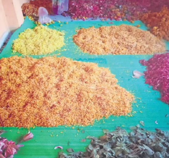 Gulal Sugandhi Dhoop Samagri