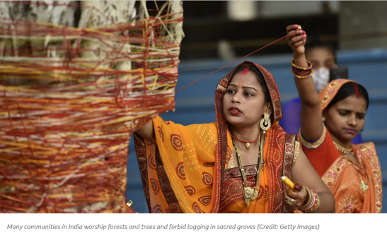 Nature in the realm of worship