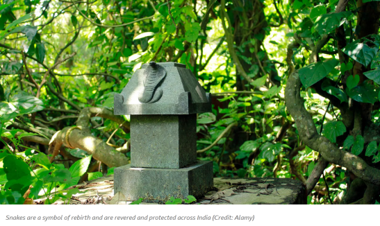 worshiping creatures to maintain biodiversity