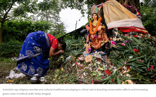 Worshiping the Green Cover