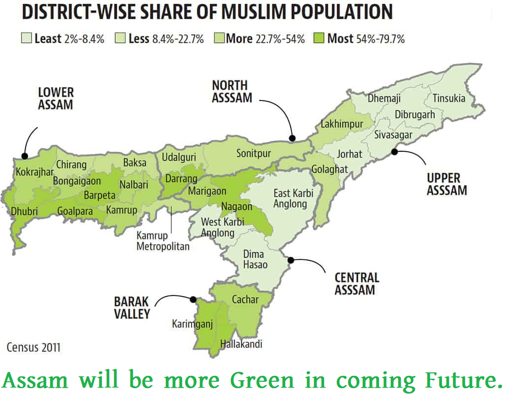 Assam will be more green in comming future