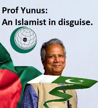 Yunus Disguise